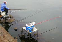 用菜籽饼怎样做钓饵和窝饵？