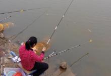 钓鱼的四个境界，大多数人还在初级