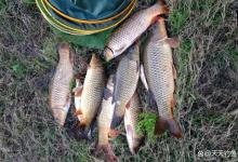 夏季钓不到鱼？3种跑铅钓法组合用，大鱼一钓一个准