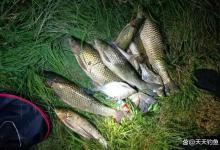 夏天夜钓，记住4个基本规律，大鱼连竿到手酸