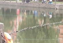 昔日钓鱼不务正业，为何如今万人祟尚。看看中间究竟经历了什么