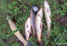 梅雨季节，记住2个爆护秘诀，梅雨钓鱼，越钓越喜