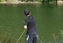 小杂鱼中谁最闹？野钓闹窝排行榜