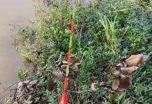 走水调钓，你选择哪种方法应对？