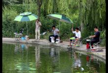 秋季钓鲤鱼如何避免小鱼闹窝