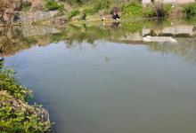 远处浅近处深怎么钓鱼