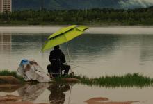 天气太热，夜钓也钓不到鱼怎么办？