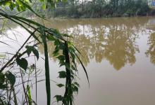 夏季钓鱼如何选择钓位