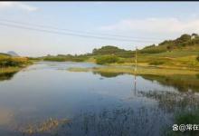 野生大板鲫钓法找到其软肋3招搞定