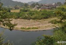 钓草鱼学会这四个技巧比别人钓的多