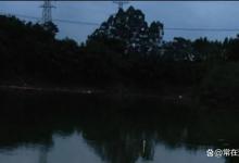 夜钓爆护一看选位二看打窝时机你做对了吗