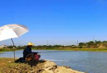 夏季钓鱼与其他季节不同，这些“铁律”一定要牢记！