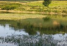 野钓少走弯路就要去黑坑化