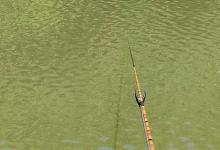 夏至已过，钓鱼要做最后的调整了。否则顶着烈日去钓鱼就是瞎跑了