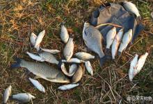 夏季最好钓“风雨”，2种风向3种雨天，都是爆护的天气