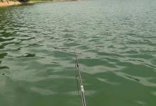 仲夏钓大鲫鱼的难点以及作钓攻略，方法用对上大鲫鱼原来也很容易