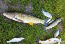 夏季钓鱼，4种天气大鱼吃口猛，爆护机会终于来了