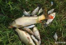 夏季野钓，这些地形才是鱼窝子，选对了连竿上鱼