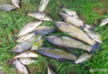 夏季钓鱼，选择钓位的3大原则，选对了大鱼连竿