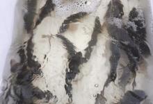 盛夏如何找到鱼窝，老钓鱼人的这几个方法很实用