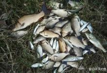 盛夏的鱼难钓，“吃”透4个连竿绝学，爆护很容易