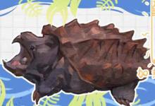 大鳄龟和小鳄龟哪个好养（新手最好喂养小鳄龟,省事）