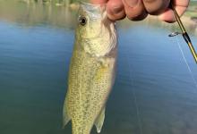 线组选择的要点，钓氏