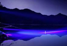 夜晚鱼类进食与白天的行为差异及钓鱼技巧调整