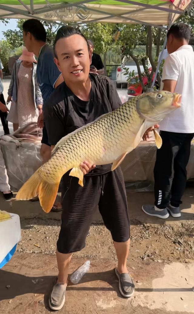 黄河"鲤鱼王"现身小浪底,体长接近1米!当地钓友:难得一见