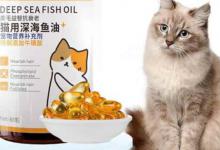 便宜优质的宠物鱼油（Purina Pro Plan Focus 鱼油配方）