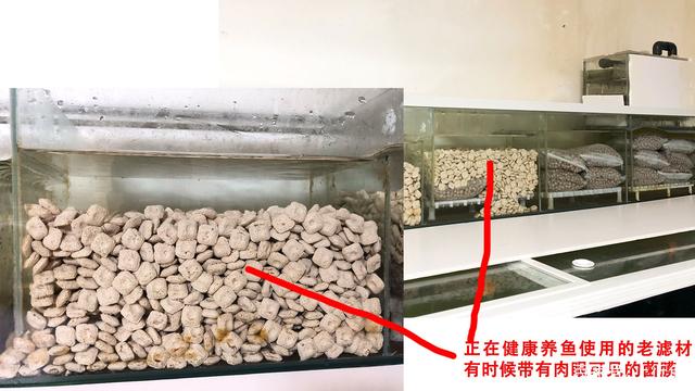 这里的要求是:大鱼缸里的滤材特别多,而且鱼儿特别健康,且最近没有