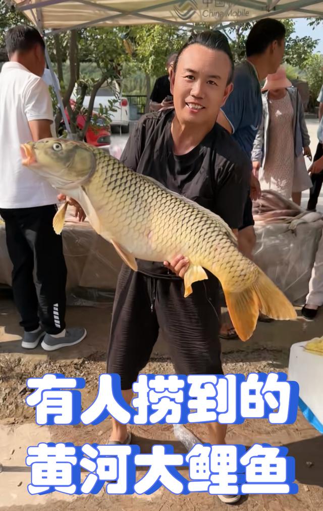 黄河泄洪引发"捞鱼潮",大鱼被呛晕,钓鱼人也开始下水捞鱼了