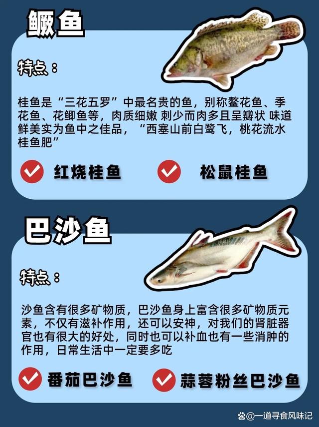 常见12种只有一根刺的鱼,特点解析及烹饪建议!_渔获吃法_爱钓鱼