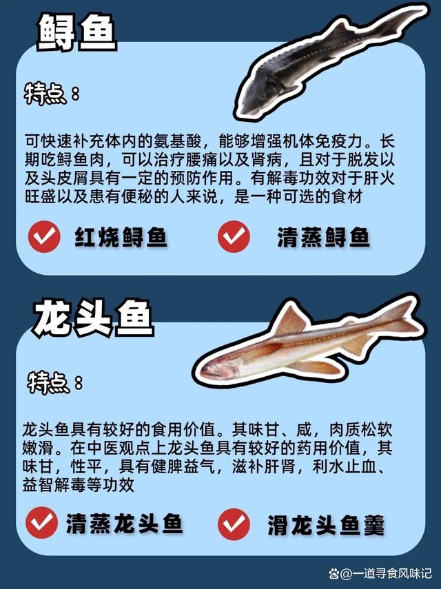 常见12种只有一根刺的鱼,特点解析及烹饪建议!_渔获吃法_爱钓鱼