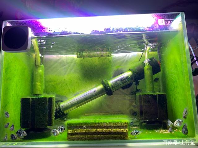 深圳最冷的时候,就出现了加热棒显示28℃,另一侧水温27℃的情况,底滤