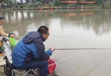 黑坑钓鱼，如果你有这几个习惯，等于给老板送钱