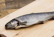 鳟鱼多少钱一斤（鳟鱼多少钱一斤鳟鱼在售价）