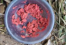 只有正确开饵才能钓到鱼