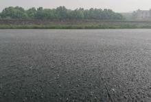 “夏钓潭”也不一定靠谱！鲫鱼一年四季都往爱往浅水跑，你信吗？