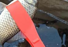 5件很“鸡肋”的钓鱼装备，不带不行，带了又用不上