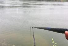 守钓鲤鱼是最“笨”的办法，要说狠还得是传统钓，死死拿捏