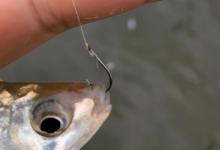 钓大鱼用长子线还是短子线？这层窗户纸一点就破