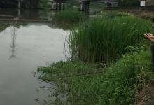 这样打隔夜窝和喂鱼没区别！难怪打了几斤窝料都诱不到鱼