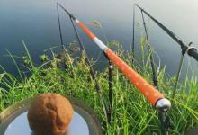 野河鲤鱼“泛滥”却钓不到？十八般武艺全用上，不信还空军！