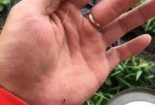 别让鱼钩在关键时刻掉链子！关于它的5个秘密你知道多少？