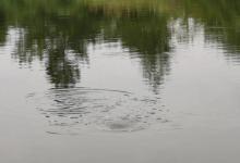 野钓快速刷白条的方法，一天钓几斤不是问题，拉到手酸！