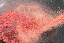 蓝鲫状态差、反水严重怎么办？解决办法只有一个