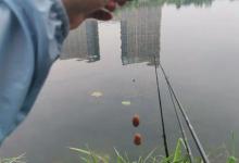 野钓之“跑铅”的玩法，记住几个小细节，鱼获可以提升一个档次