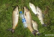 夏季阴天如何钓鱼？常用4个招数，越钓越欢喜