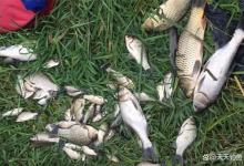 野钓选钓位，这4种位置不用打窝，下竿就上大鱼